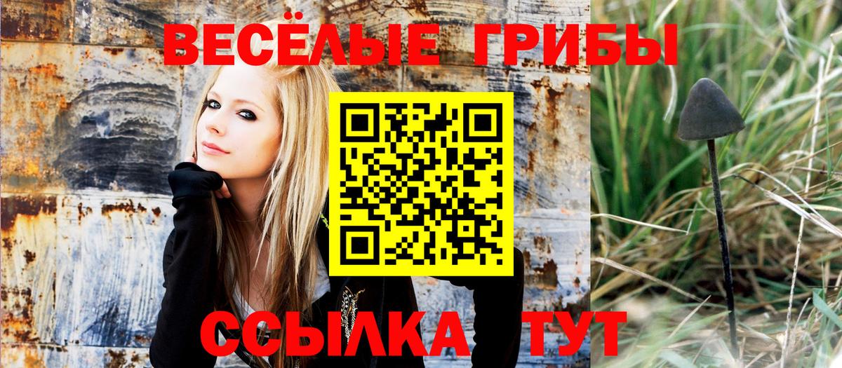 Псилоцибиновые грибы прущие грибы Сергиев Посад